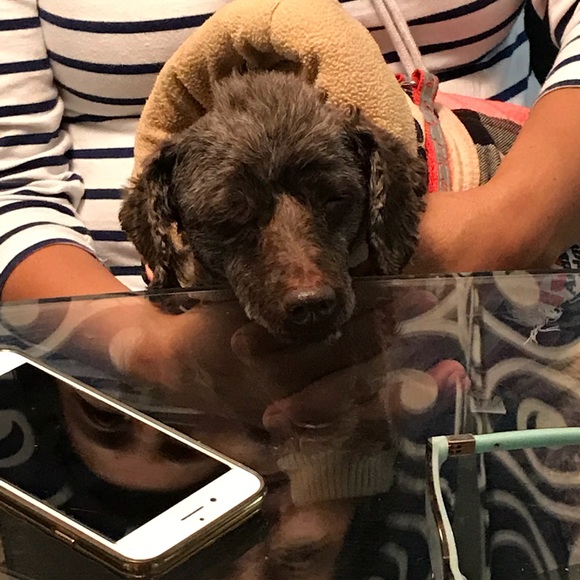 Meet your Posher, Estelle - Picture 9 of 13